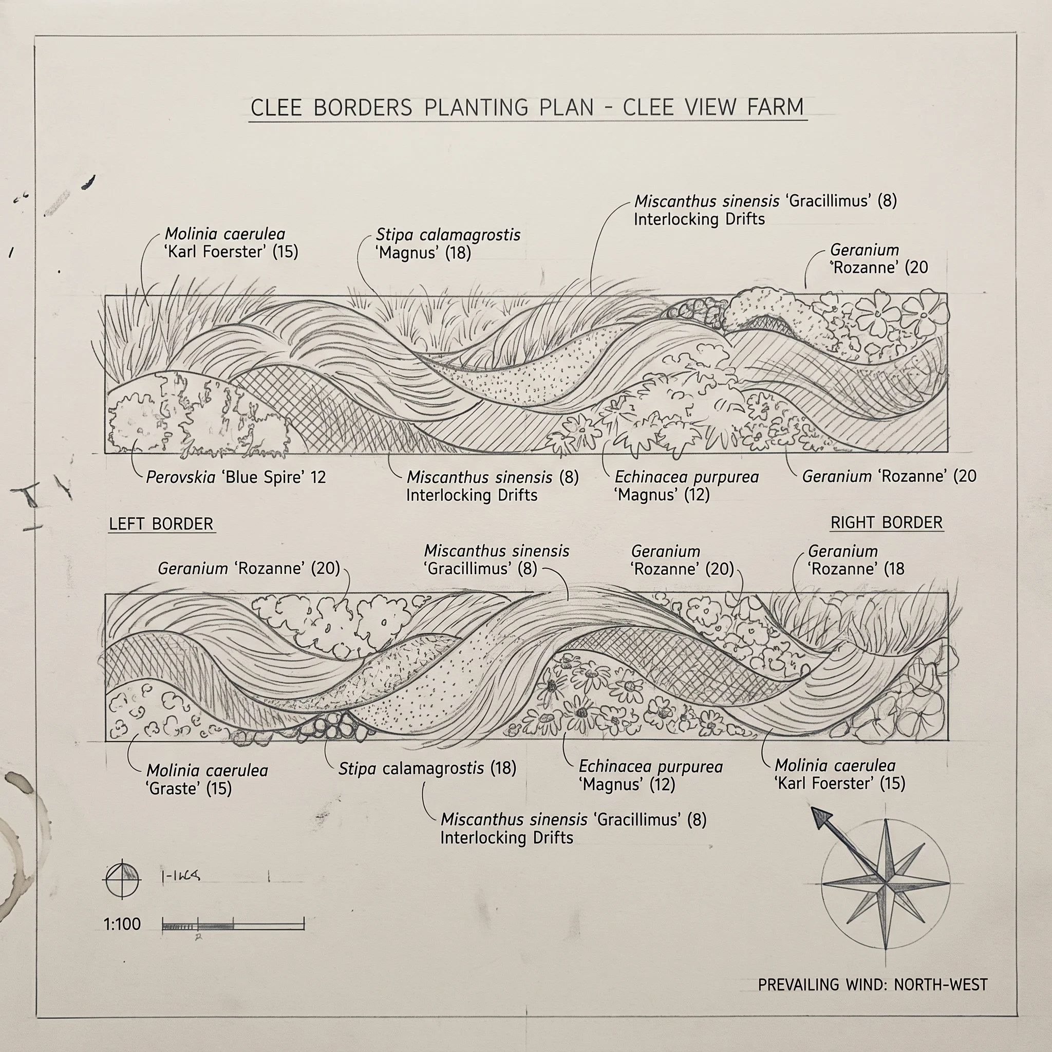 Pencil planting plan for the farm borders, grass drifts interlocked and annotated